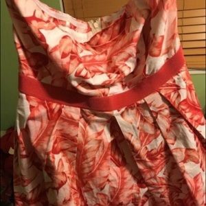 New York and company dress